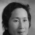 我的办公室妻子